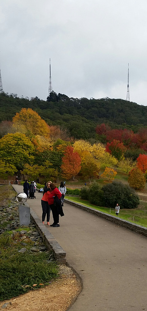 Mount Lofty gardens