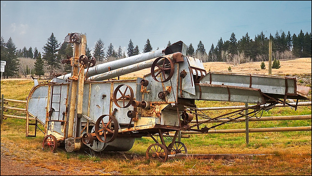 At 108 Mile Ranch, BC