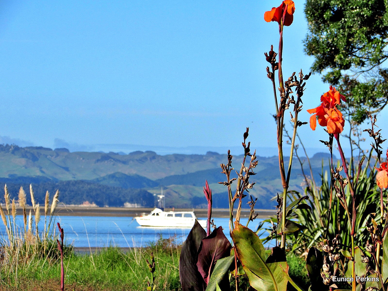 Kawhia Harbour.