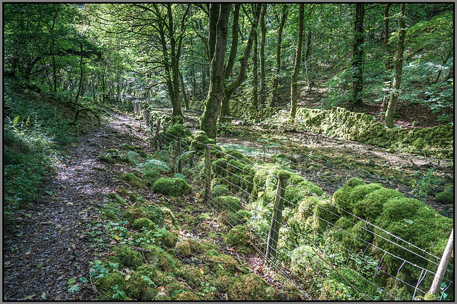 A HFF to all.. from Dj.... 'Ravensdale'.. Derbyshire.