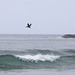 Pacific City Beach