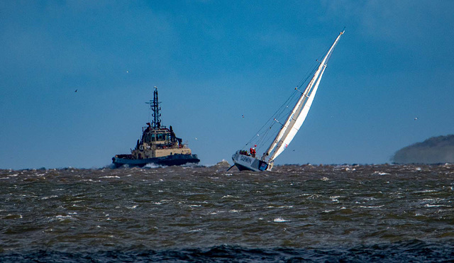 Clipper race5