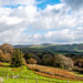 Welsh landscape47
