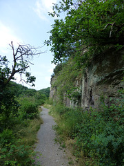 Auf dem Pyrmonter Felsensteig