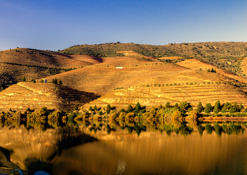 Douro Vineyards-4