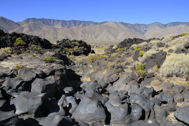 Fossil Dry Falls