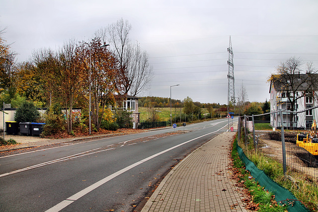 An der Holtbrügge (Bochum-Weitmar) / 2.11.2024