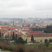 IMG 7874