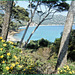 Le Lavandou (83) Avril 2009.