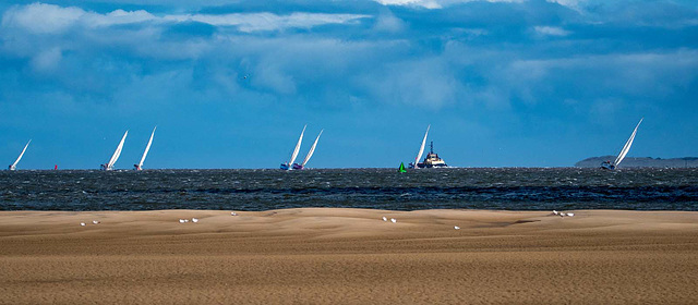 Clipper race6