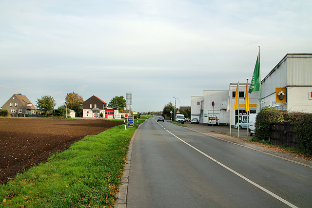 Niederadener Straße (Lünen-Niederaden) / 27.10.2019