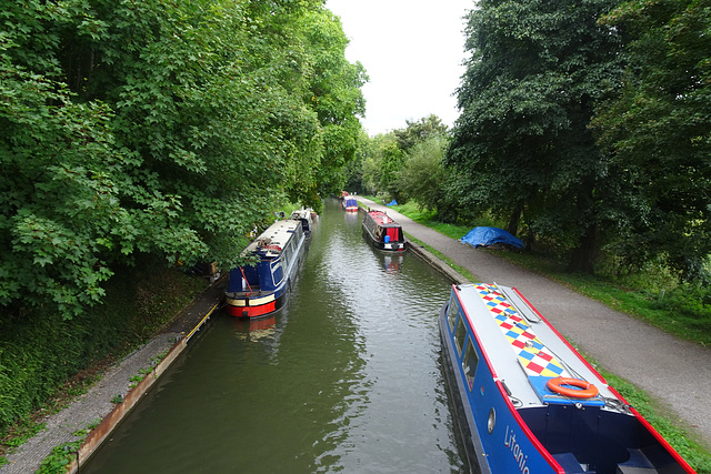 Somerset Coal Canal