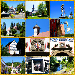 Bilder des Tages - 18.08.2025 - Möhringen Bilder des Tages - 18.08.2025 - Möhringen