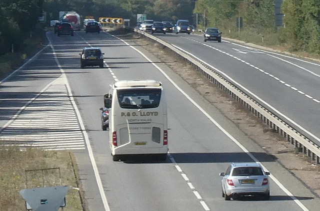P & O Lloyd BF23 CGY on the A11 near Kennett - 31 Aug 2025 (P1220062)