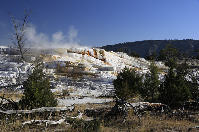 White Elephant Terraces