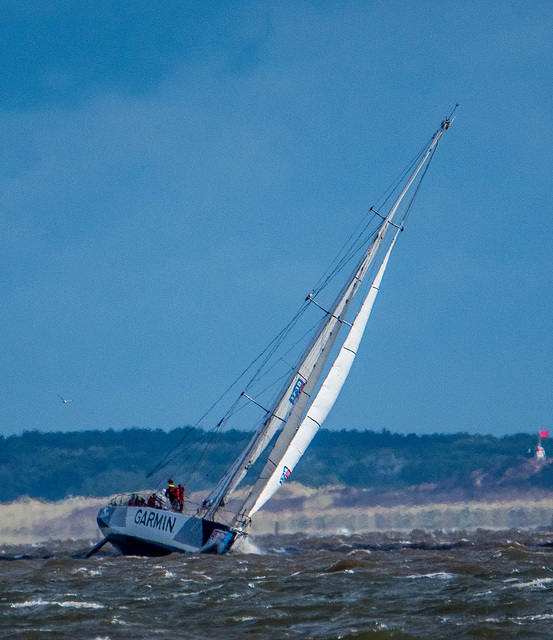 Clipper race7