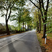 Niederadener Straße (Lünen-Niederaden) / 27.10.2019