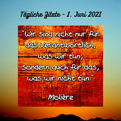 Tägliche Zitate - 1. Juni 2021