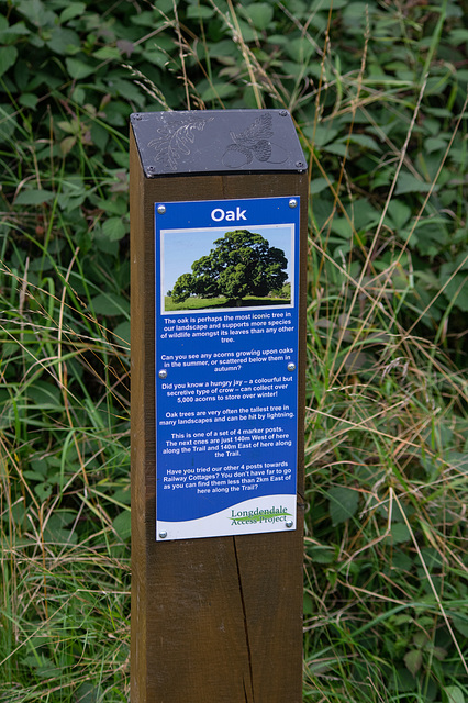 Oak Infromation Post