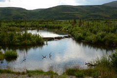 Alaska, Paxton Lake and Beaver's Dam