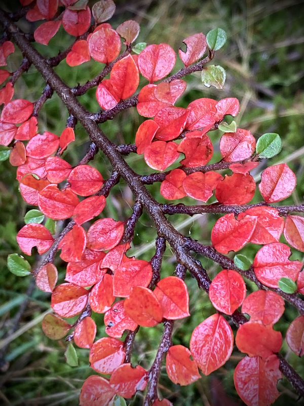 FARBEN sammeln für den nahenden Winter...