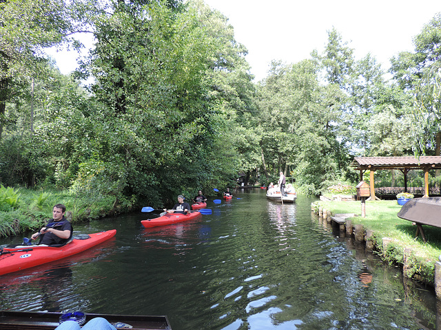 Spreewald Lübbenau - Schiffsverkehr