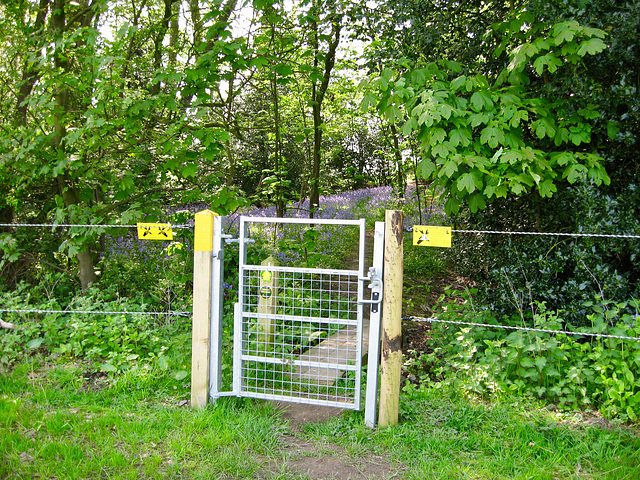 Footpath from Middleton entering Roger's Coppice June 2008