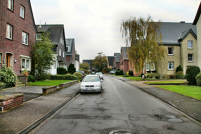 Marienstraße (Waltrop) / 2.11.2017