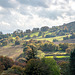 Welsh landscape78