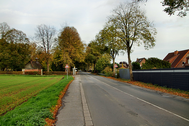 Niederadener Straße (Lünen-Niederaden) / 27.10.2019