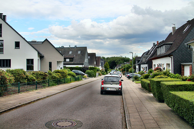 Frillendorfer Höhe (Essen-Frillendorf) / 15.06.2024