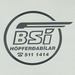 The BSÍ logo carried on Sæmundur Sigmundsson RO 648 - 27 July 2002 (496-06A)