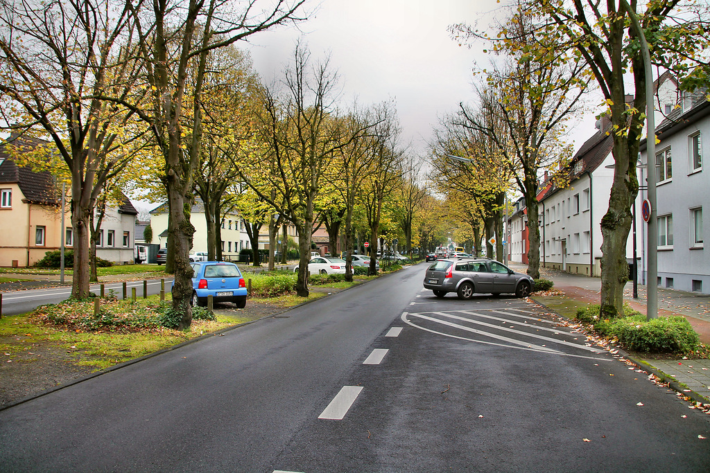 Riphausstraße (Waltrop) / 2.11.2017