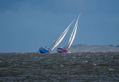 Clipper race10