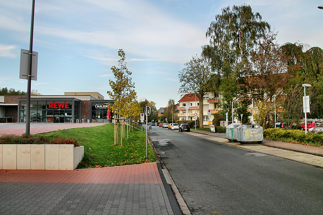 Baukelweg (Lünen-Horstmar) / 27.10.2019