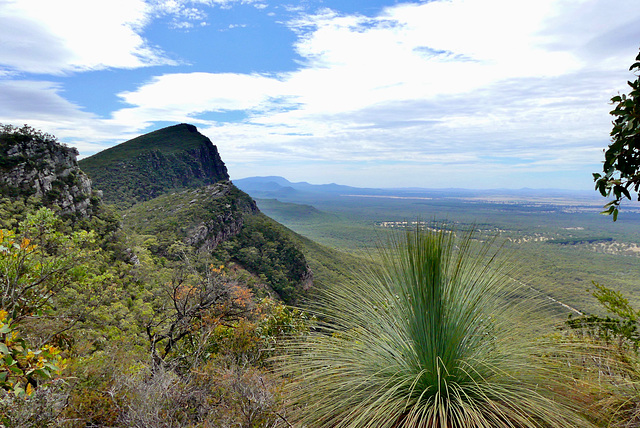 P1260715- Rando Mont Abrupt - Les Grampians.  01 mars 2020