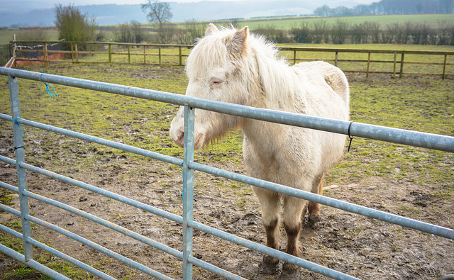 A ''Happy fence Friday'' to all - and 'Good wishes' too... from > Dj.