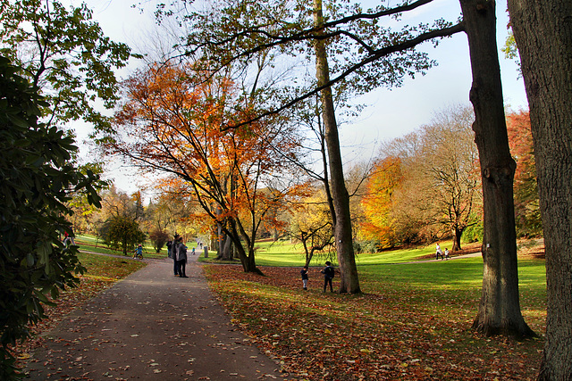 Botanischer Garten Rombergpark (Dortmund-Brünninghausen) / 8.11.2020