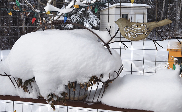 On our deck.