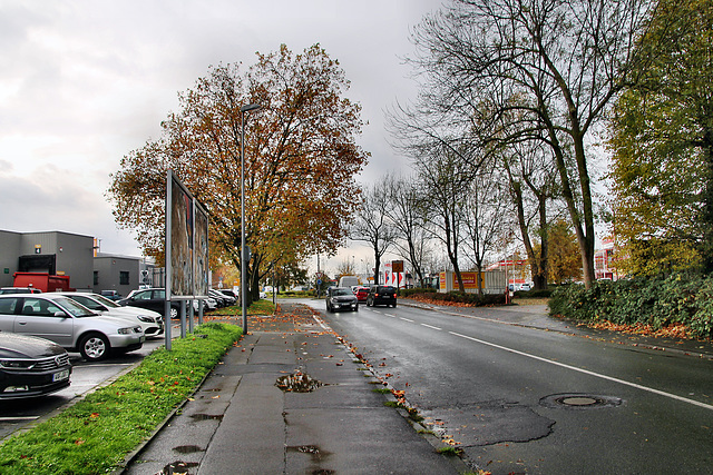 Riemker Straße (Bochum-Hofstede) / 11.11.2023