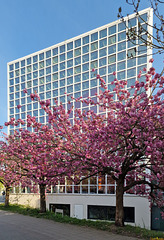 HWW: Frühling an der HBK HWW: Frühling an der HBK