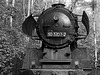 Natur-Park Südgelände | Berlin | 2o25