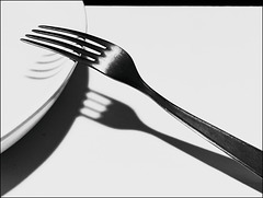 Hommage à André Kertész