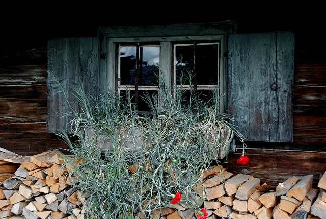 Holz vor der Hütte, Nelken im Blumenkasten