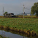 BÖ0011593
