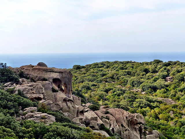 Corsica