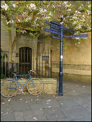 Oxford blue signpost in spring