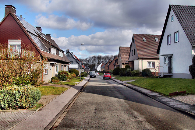 Nordhang (Gevelsberg-Silschede) / 25.02.2023