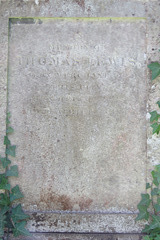 arnos vale cemetery (80)