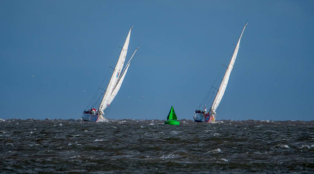 Clipper race12